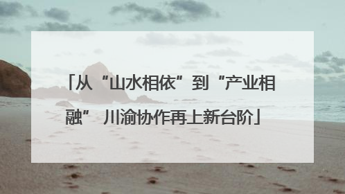 从“山水相依”到“产业相融” 川渝协作再上新台阶