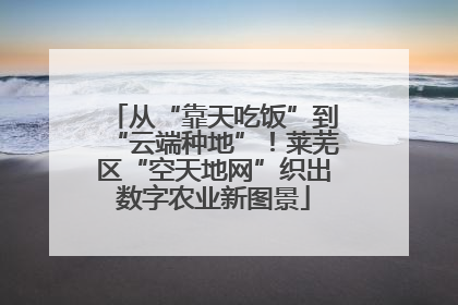 从“靠天吃饭”到“云端种地”！莱芜区“空天地网”织出数字农业新图景