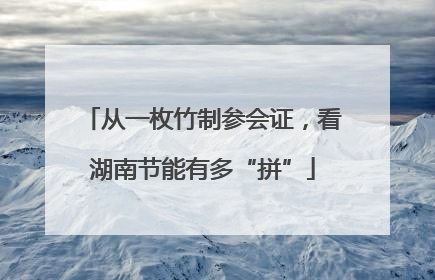 从一枚竹制参会证，看湖南节能有多“拼”