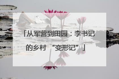 从军营到田园：李书记的乡村 “变形记”