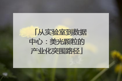 从实验室到数据中心：美光颗粒的产业化突围路径