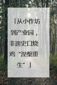 从小作坊到产业园，非遗史口烧鸡“涅槃重生”