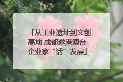 从工业遗址到文创高地 成都邀港澳台企业家“话”发展