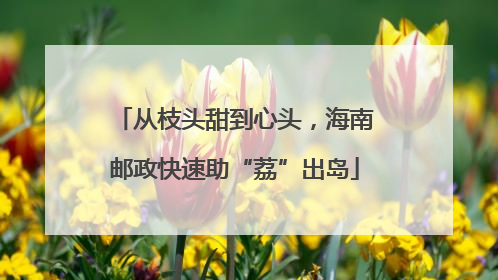 从枝头甜到心头，海南邮政快速助“荔”出岛
