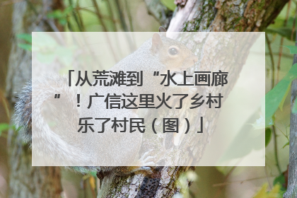 从荒滩到“水上画廊”！广信这里火了乡村 乐了村民（图）