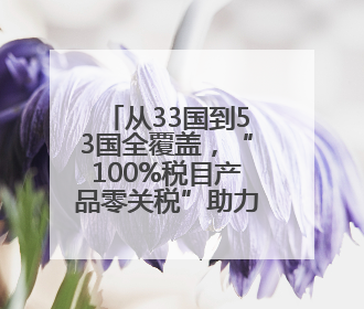 从33国到53国全覆盖，“100%税目产品零关税”助力非洲优质商品入华