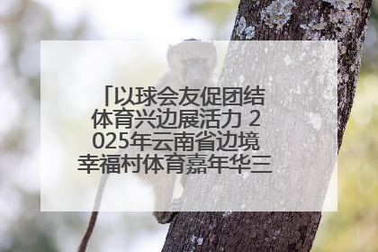 以球会友促团结 体育兴边展活力 2025年云南省边境幸福村体育嘉年华三人篮球赛圆满收官