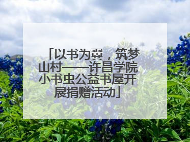 以书为翼，筑梦山村——许昌学院小书虫公益书屋开展捐赠活动
