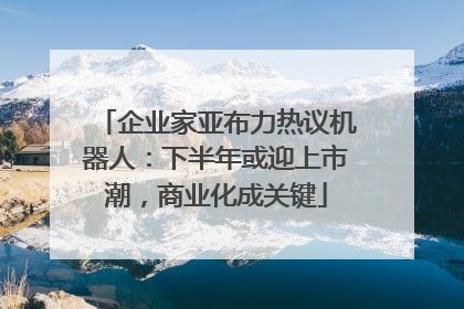 企业家亚布力热议机器人：下半年或迎上市潮，商业化成关键