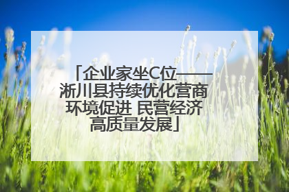 企业家坐C位——淅川县持续优化营商环境促进 民营经济高质量发展