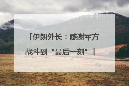 伊朗外长：感谢军方战斗到“最后一刻”