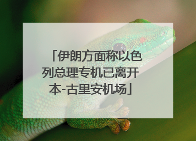 伊朗方面称以色列总理专机已离开本-古里安机场