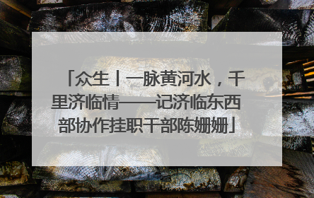 众生丨一脉黄河水，千里济临情——记济临东西部协作挂职干部陈姗姗