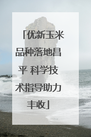 优新玉米品种落地昌平 科学技术指导助力丰收