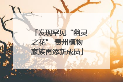 发现罕见“幽灵之花” 贵州植物家族再添新成员