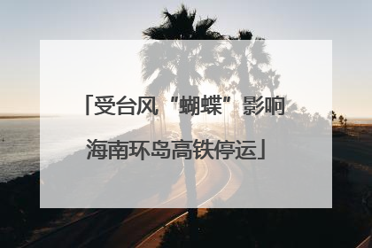 受台风“蝴蝶”影响 海南环岛高铁停运