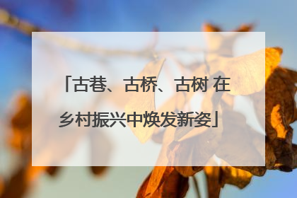 古巷、古桥、古树 在乡村振兴中焕发新姿