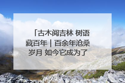 古木阅吉林 树语藏百年｜百余年沧桑岁月 如今它成为了“镇园之宝”