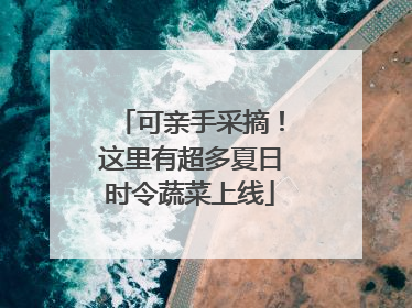 可亲手采摘！这里有超多夏日时令蔬菜上线