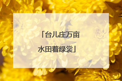 台儿庄万亩水田着绿裳