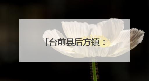 台前县后方镇：创新实干奏响招商引资“强音”