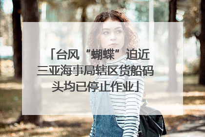 台风“蝴蝶”迫近 三亚海事局辖区货船码头均已停止作业