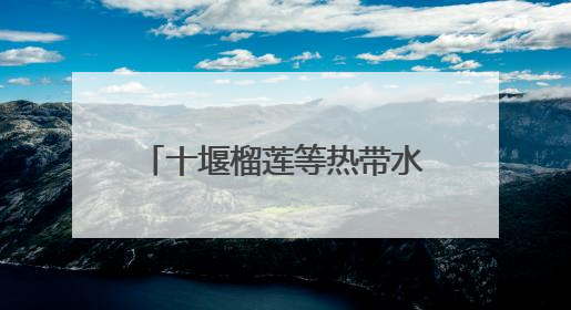 十堰榴莲等热带水果价格持续走低！商家：预计还能再降
