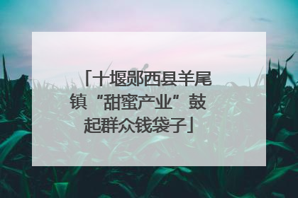 十堰郧西县羊尾镇“甜蜜产业”鼓起群众钱袋子