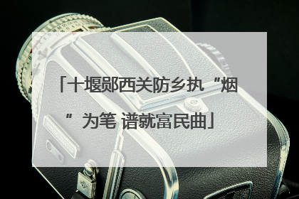 十堰郧西关防乡执“烟”为笔 谱就富民曲