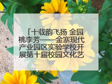 十载韵飞扬 金园桃李芳——金寨现代产业园区实验学校开展第十届校园文化艺术节暨庆“六一”系列活动