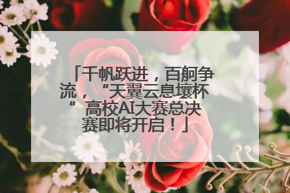 千帆跃进，百舸争流，“天翼云息壤杯”高校AI大赛总决赛即将开启！