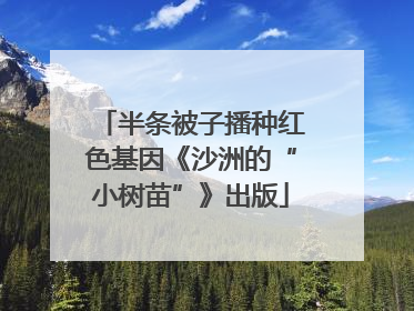 半条被子播种红色基因《沙洲的“小树苗”》出版