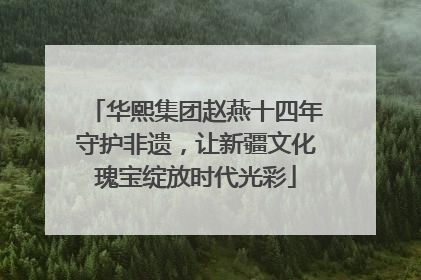 华熙集团赵燕十四年守护非遗，让新疆文化瑰宝绽放时代光彩