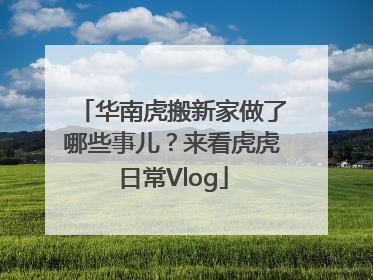 华南虎搬新家做了哪些事儿？来看虎虎日常Vlog