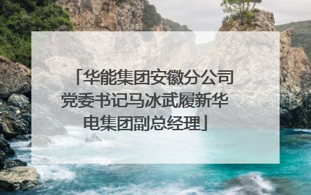 华能集团安徽分公司党委书记马冰武履新华电集团副总经理
