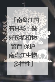 南盘江国有林场：做好珍稀植物繁育 保护南盘江生物多样性