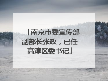 南京市委宣传部副部长张政，已任高淳区委书记