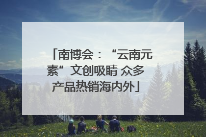南博会：“云南元素”文创吸睛 众多产品热销海内外