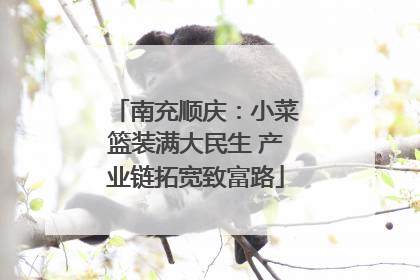 南充顺庆：小菜篮装满大民生 产业链拓宽致富路