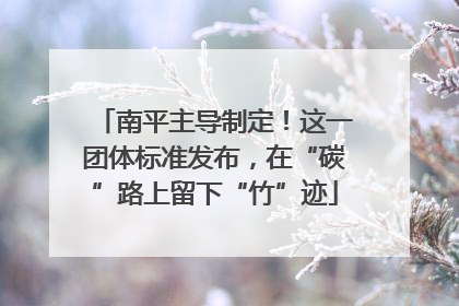 南平主导制定！这一团体标准发布，在“碳”路上留下“竹”迹