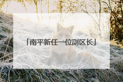 南平新任一位副区长