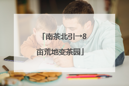 南茶北引→8亩荒地变茶园