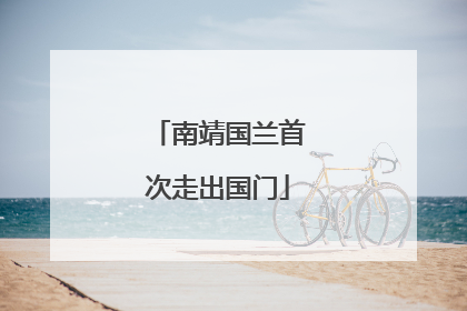 南靖国兰首次走出国门