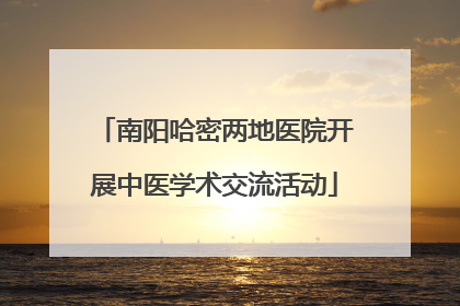 南阳哈密两地医院开展中医学术交流活动