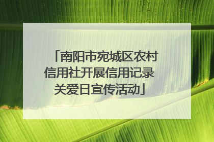 南阳市宛城区农村信用社开展信用记录关爱日宣传活动
