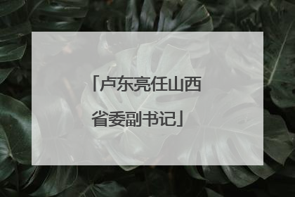 卢东亮任山西省委副书记
