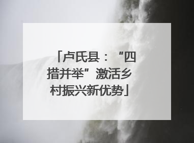卢氏县：“四措并举”激活乡村振兴新优势