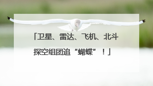 卫星、雷达、飞机、北斗探空组团追“蝴蝶”！