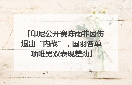 印尼公开赛陈雨菲因伤退出“内战”，国羽各单项唯男双表现差劲