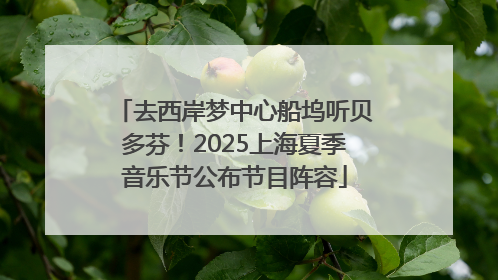 去西岸梦中心船坞听贝多芬！2025上海夏季音乐节公布节目阵容